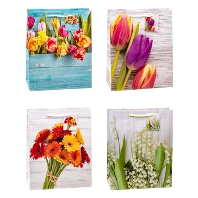 Image of TSI 82316 Spring Gift Bags Large 32 x 26 13.5 cm Pack of 12