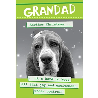 Image of Quitting Hollywood Merry Christmas Grandad Excitement Funny Card Cards XR3246