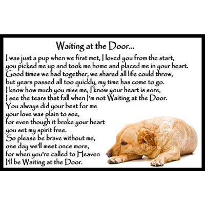 Image of Golden Labrador Pet Dog Bereavement Memorial Flexible Fridge Magnet Waiting at the Door