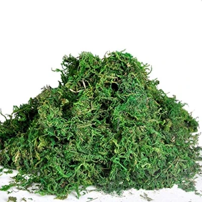 Image of Best Artificial Reindeer Moss For Lining Plant Flower Garland Christmas Decor Trees (900g)
