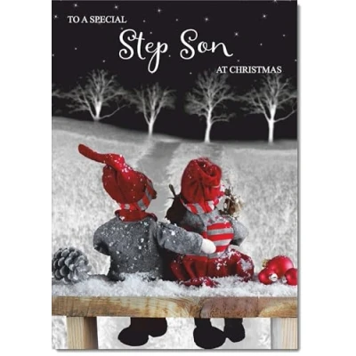 Image of doodlecards Stepson Christmas Card Couple at Night Medium Size for with Plain Envelope