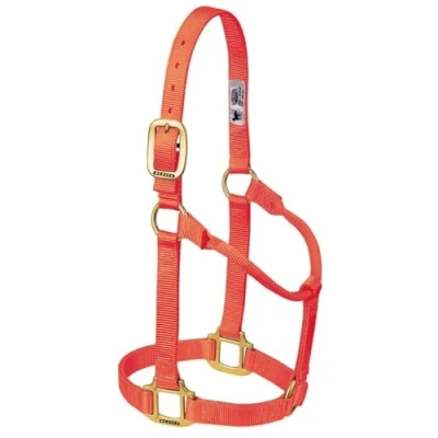 Image of Weaver Leather Original Non Adjustable Nylon Horse Halter, Average, Orange