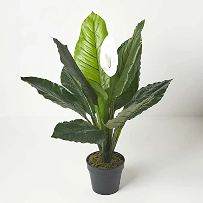 Image of HOMESCAPES Artificial Peace Lily Plant 90 cm Tall Fake Spathiphyllum Flower in Black Pot