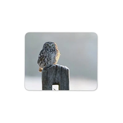Image of Destination Vinyl ltd Beautiful Owl in Winter Mouse Mat Pad Bird Birds Owls Mum Computer #8890