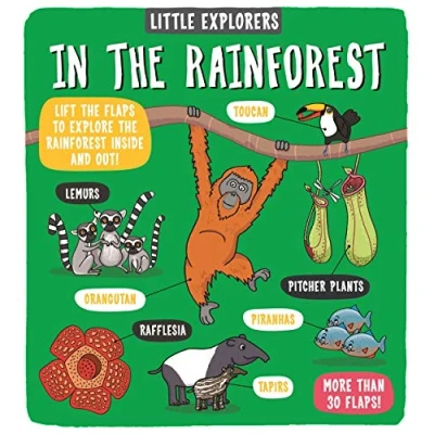 Image of Little Explorers: In the Rainforest