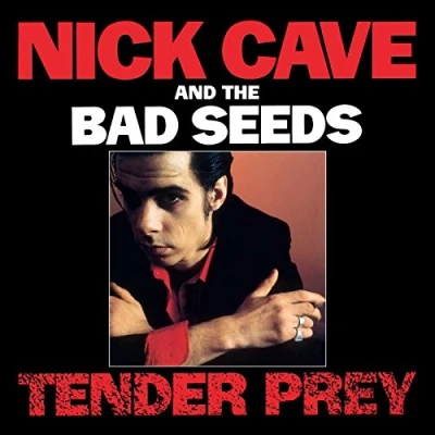 Image of Nick Cave Tender Prey 2014 UK vinyl LP LPSEEDS5