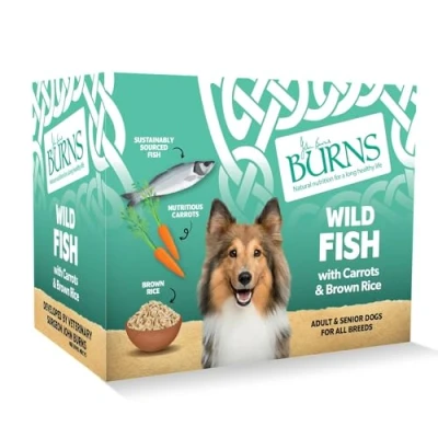 Image of Burns Pet Nutrition Natural Wet Dog Food For Adult &amp; Senior Dogs Wild Fish, Carrots Organic Brown Rice (6 x 395g)