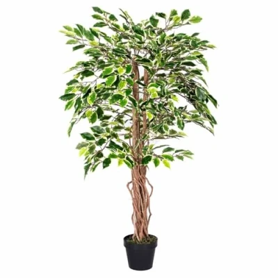 Image of HOMESCAPES 4 Feet Variegated Ficus Tree With Real Wood Stems and Lifelike Leaves Replica Artificial Plant
