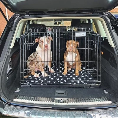 Image of Pet WORLD Dog Puppy sloped Car travel training carrier crate suitable for VW Volkswagen Touareg 2003 Onward,cage, (Double)