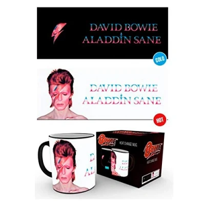Image of GB eye David Bowie Aladdin Sane Heat Change Mug