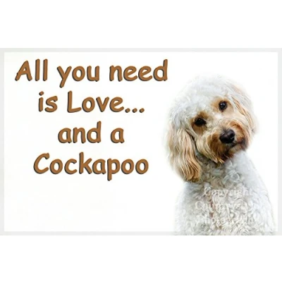 Image of Cockapoo Pet Dog funny Fridge Magnet All you need is Love