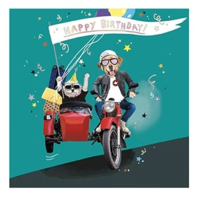 Image of Paperlink Male Birthday Card General Funny for Men Party Dogs in Sidecar Motorbike with a Foil Finish Eco Friendly and Recyclable, 155 x 155mm