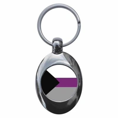Image of Ozorath Demisexual Flag Keyring Keychain Key Ring Chain With Trolley Coin