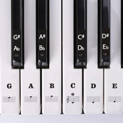 Image of Piano Keyboard Stickers for 88/61/54/49/37 Keys, Removable Key Note Labels Sticker Beginners