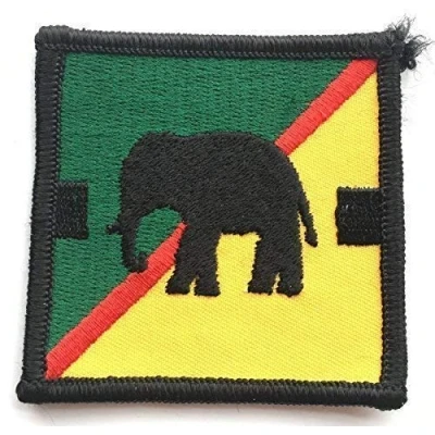 Image of 27 Squadron RAF Royal Air Force TAC Embroidered Patch
