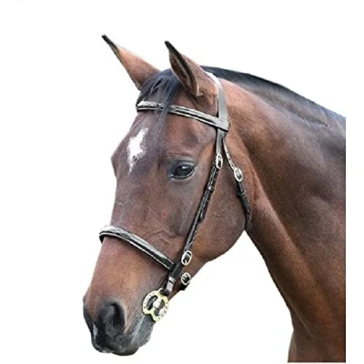 Image of Shires Equestrian Blenheim Fancy Stitched In Hand Bridle Black Size: Cob