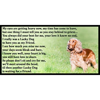 Image of Cocker Spaniel bereavement pet loss sympathy memorial Flexible Fridge Magnet Lucky Dog