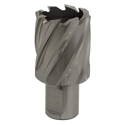 Image of Worksafe Rotabor Cutter HSS Ø33mm Cut Depth 25mm