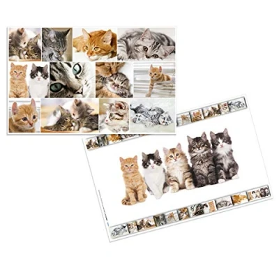 Image of HERMA 19379 Desk Mats Animals Cats, Pack of 3, Wipe Clean Children&#039;s Writing Made Cardboard, 55 x 35 cm, Double Sided Motif Table Mat Set for Girls and Boys