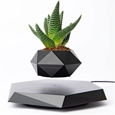 Image of BandD Levitating Plant Pot Floating for Small Plants. Decor Home &amp; Office Magnetic Display (Black)