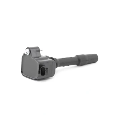 Image of 12137619385, 12138643360, 12138647463, 12138678438 Ignition coil BOSCH 0 986 221 124 14V BMW: 3 Saloon, 5 Touring, 1 Hatchback, MINI: Hatchback