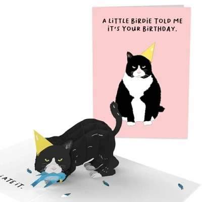 Image of Central 23 Pop Up Birthday Cards For Women &amp; Men 3D Card Cat Lovers Funny Mum Dad Daughter Son Sister Brother