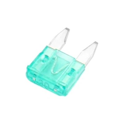 Image of Heschen Mini Blade Fuse ATM 30 Auto Assorted Car SUV Truck 30A Emerald Pack of 50