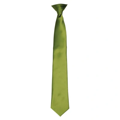 Image of Premier Unisex Adult Satin Tie (Oasis Green) One Size