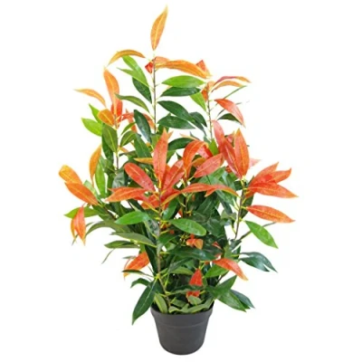 Image of Leaf Artificial Ficus Tree/Plant, Photinia Red Green, 80cm