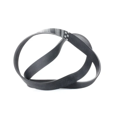 Image of 1752179J50, 46801955, 46803270, 55194752, 55200255 V ribbed Belt GATES 6PK1053 1053mm 6 G Force C12 CVT VOLKSWAGEN: Touran I, Scirocco III