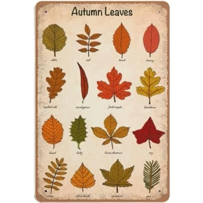 Image of Metal Vintage Tin Sign Decor Autumn Leaves Sign, Knowledge Leaf Identification Chart Poster Signs 6x8 Inch
