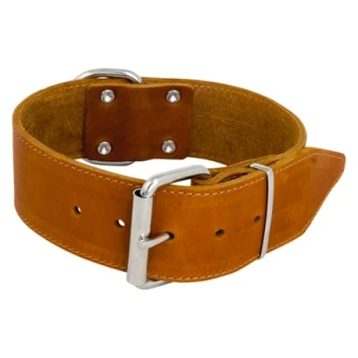 Image of JACK AND VANILLA, Large Dog Collar, Fat Leather, Cognac, Size 30 mm x 50 cm