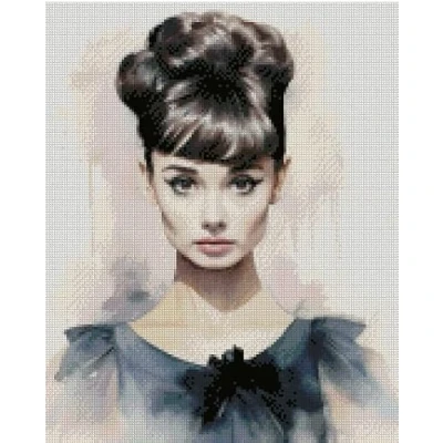 Image of an Elegant Lady Counted Cross Stitch kit, 14count, 150x200stitch,27x36cm Celebrity Portrait Kits