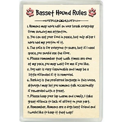 Image of Basset Hound Rules Humour Jumbo Fridge Magnet Ideal Dog Lover Birthday Gift M131