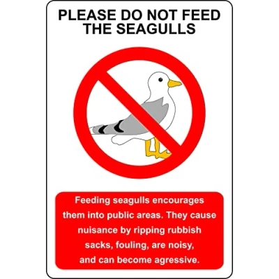 Image of Please do not feed the seagulls, they can become aggressive Safety sign Self adhesive sticker (200mm x 150mm)