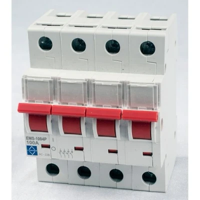Image of Lewden 100A 4 Pole Mains Switch