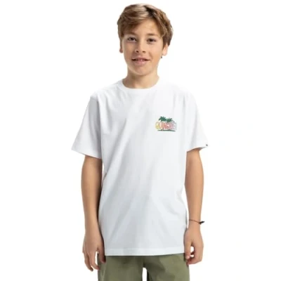 Image of Quiksilver Sunny Palms Print Tshirt for kids, Size: 14y, White