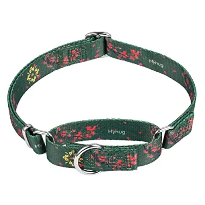 Image of Hyhug Design, Choking (Martingale) Training Dog Collar to Prevent Escape. Comfortable and Adjustable, Strong, Hard wearing, Durable (M 20mm, Green Plum Flower)