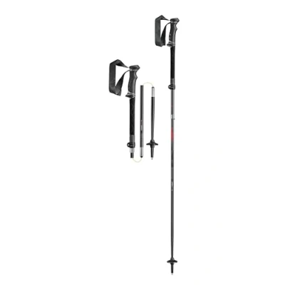 Image of LEKI Legacy FX TA Poles, 110 130 cm