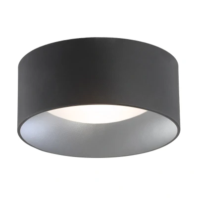 Image of Mohito Flush Ceiling 2 Light Black Structure Outside, Silver Inside