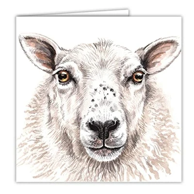 Image of Maturi Blank Greeting Card with Water Colour Sheep Image, Multi Coloured (441029)