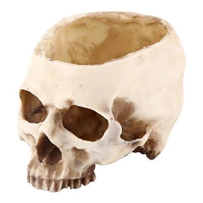Image of Resin Skull Shaped Head Design Flower Pot Planter Container Decoration Flowerpot Set Props for Home Office Desk Bar Night Club