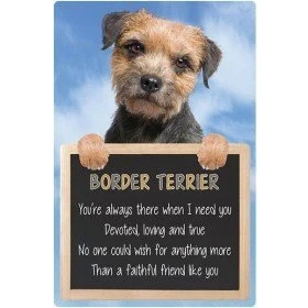 Image of Faithful Friends BORDER TERRIER 3D SIGN