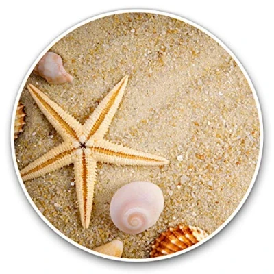 Image of Vinyl Stickers (Set of 2) 15cm Amazing Beach Sea Shells Seaside 8535