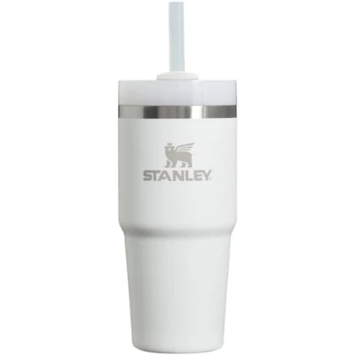 Image of Stanley Quencher H2.0 FlowState Stainless Steel Vacuum Insulated Tumbler with Lid and Straw for Water, Iced Tea or Coffee, Smoothie More, Frost, 14oz
