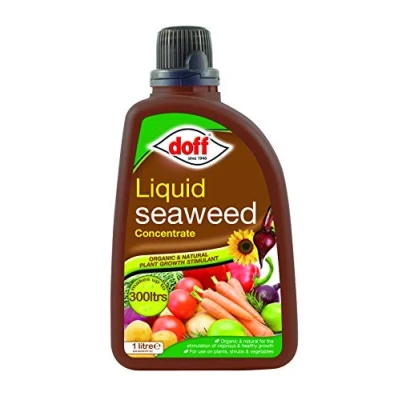 Image of Doff Liquid Seaweed Concentrate 1 Litre