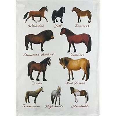 Image of Half a Donkey Hand Drawn Ponies Collection Large Cotton Tea Towel