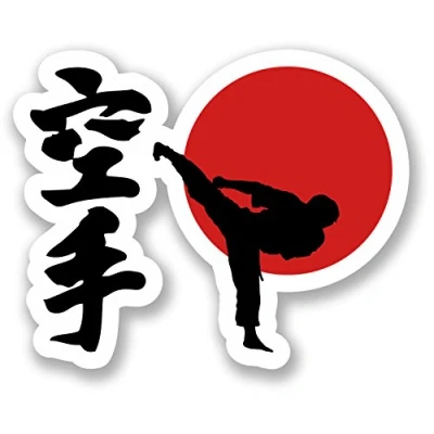 Image of 2 x Karate Vinyl Sticker Bike Laptop Car Martial Arts Japan Gift Fun #4601 (10cm Wide 8cm Tall)