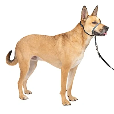 Image of PetSafe Gentle Leader No Pull Dog Headcollar The Ultimate Solution to Pulling Redirects Your Dog&#039;s for Easier Walks Helps You Regain Control Medium, Charcoal
