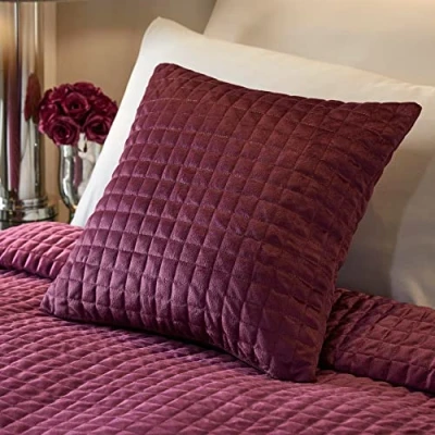 Image of Soiree Stella Velvet Filled Cushion 43 x 43cm in Damson